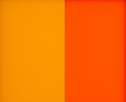 Chameleon Orange